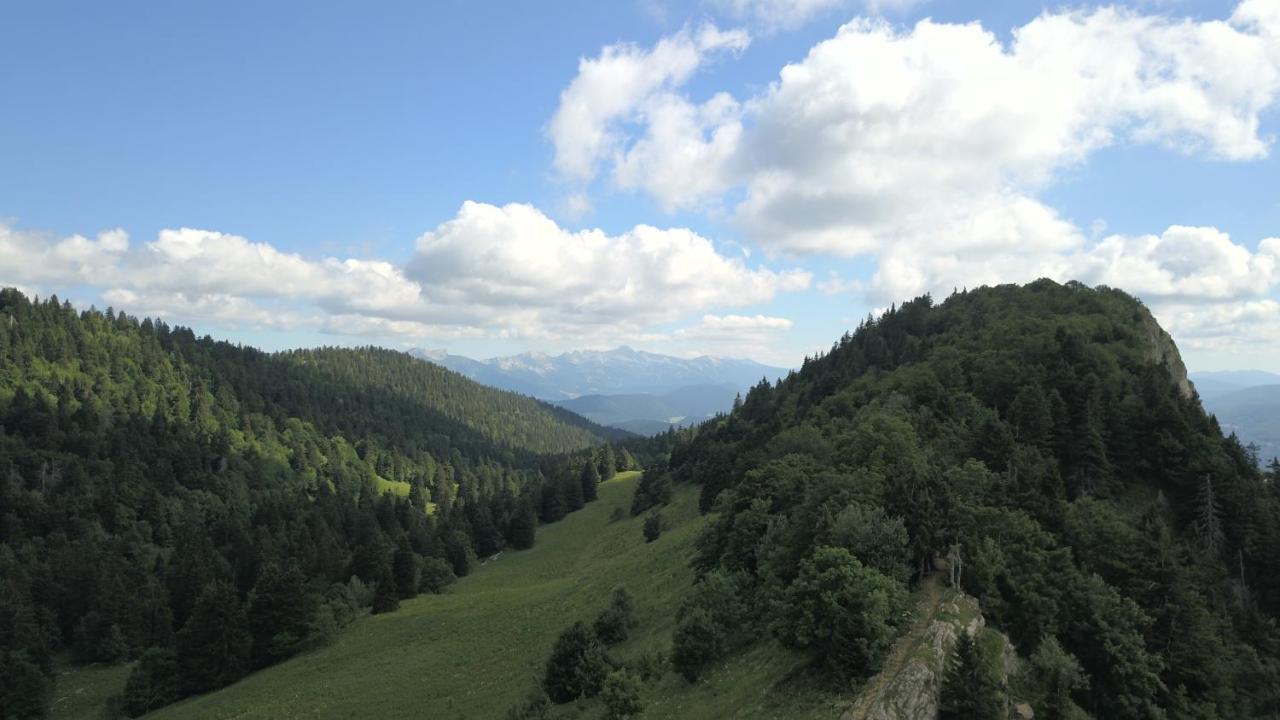 Plénouze Autrans-Meaudre-en-Vercors